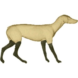 LIS EC-LI-3P (dostępny za 3...