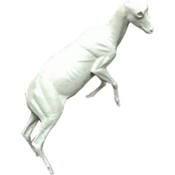 KOZIOROŻEC EC-KO-3P