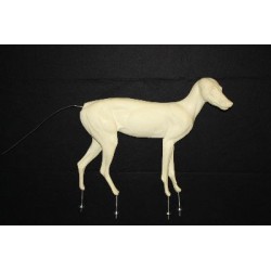 SZAKAL ZŁOCISTY EC-SZ-1