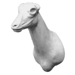 KOZICA PÓŁNOCNA EG-KP-4G