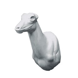 KOZICA PÓŁNOCNA EG-KP-6P