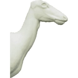 JELEŃ ŁANIA EG-JE-10