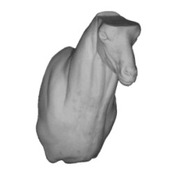 KOZIOROŻEC EG-KO-2G