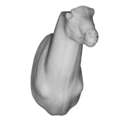 KOZIOROŻEC EG-KO-7G