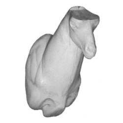 KOZIOROŻEC EG-KO-8G