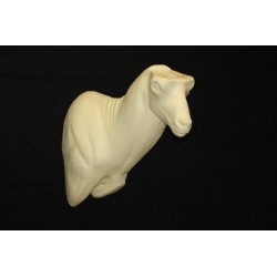 KOZIOROŻEC EG-KO-8PS