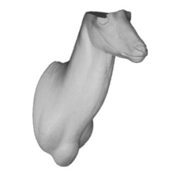 KOZIOROŻEC EG-KO-9P