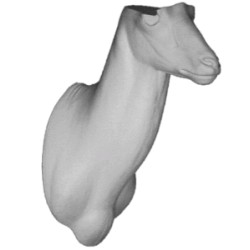 KOZIOROŻEC EG-KO-9L