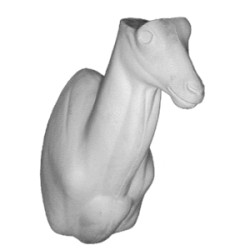 KOZIOROŻEC EG-KO-10L