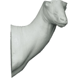 KOZIOROŻEC EG-KO-11