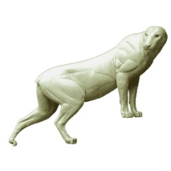 LEOPARD / PUMA  ACLP4