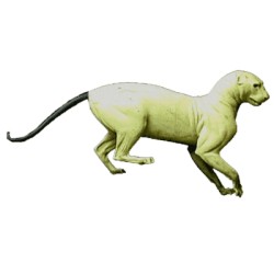 LEOPARD / PUMA  ACLP6