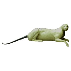 LEOPARD / PUMA  ACLP8