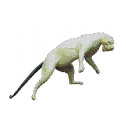 LEOPARD / PUMA  ACLP13