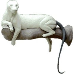 LEOPARD / PUMA  ACLP14