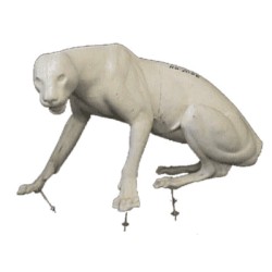 LEOPARD / PUMA  ACLP17