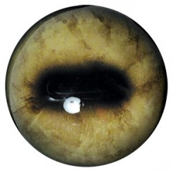 MUFLON OCZY 28mm OMU13