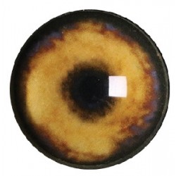 WILK OCZY Base 18mm OWI12