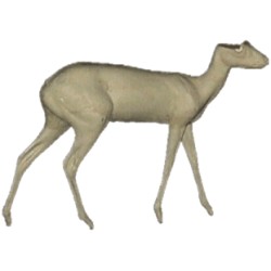 ANTYLOPIK ZWYCZAJNY AC-AZ-1P