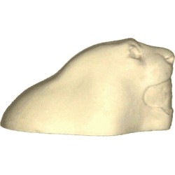 LEOPARD / PUMA ALLP1