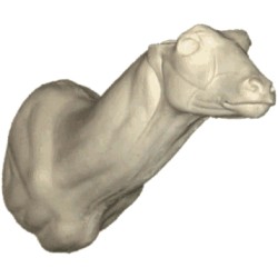 KOB MOCZAROWY AG-KO-1G