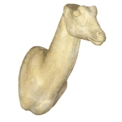 KOB MOCZAROWY AG-KO-3G