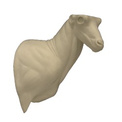 KOZIOROŻEC HISZPAŃSKI /...