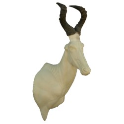 BAWOLEC RUDY AG-BR-1P