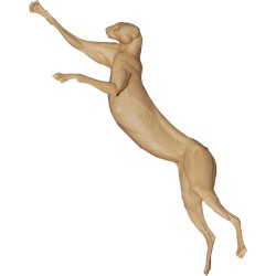 SERVAL CARACAL AC-SE-1