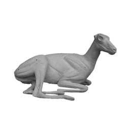 KOZICA PÓŁNOCNA EC-KP-2P