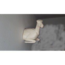 KOZICA PÓŁNOCNA EG-KP-11P