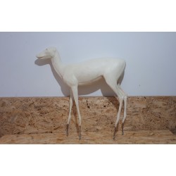 CHIŃSKI KOZIOŁ WODNY AC-CK-1L