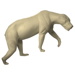 NIEDŹWIEDŹ EC-NI-1