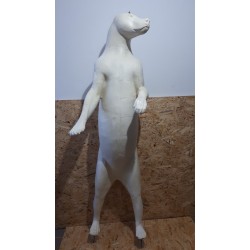 NIEDŹWIEDŹ EC-NI-2