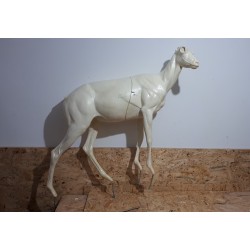 KOZICA PÓŁNOCNA EC-KP-3