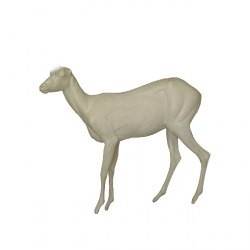 KOZICA PÓŁNOCNA EC-KP-5