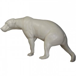 NIEDŹWIEDŹ EC-NI-3