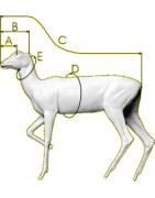 WILD BOAR    (nr kat. EC-DZ)